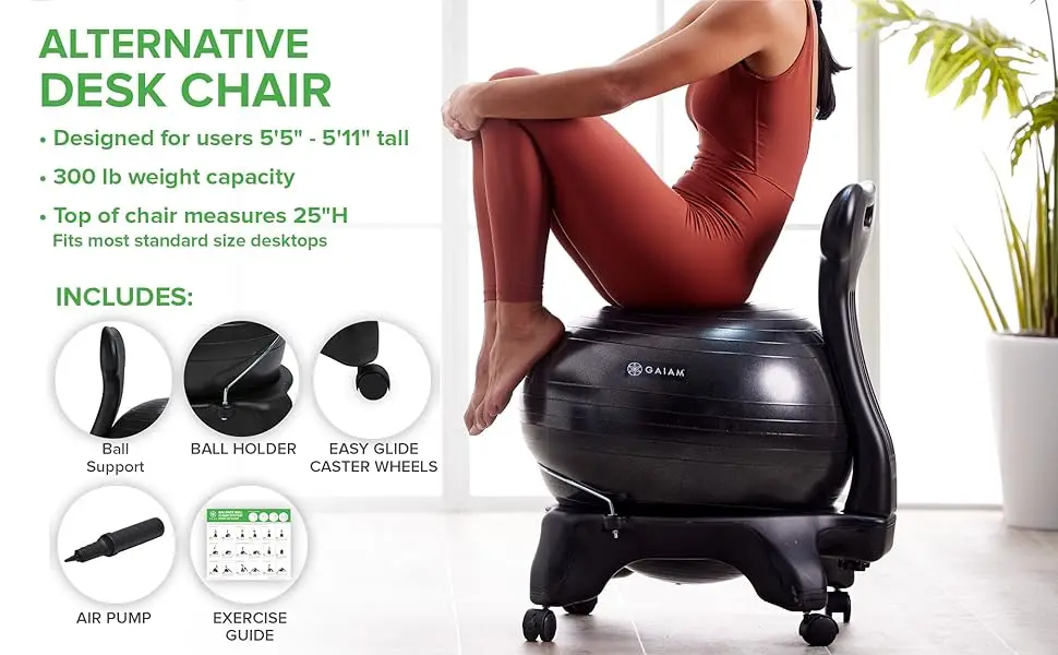 Gaiam Classic Balance Ball Chair